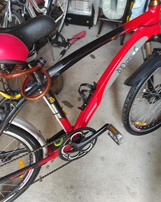 bici con pedalata assistita 
