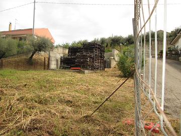 Rif. 227B Terreno a Collecorvino