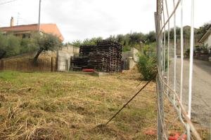 Rif. 227B Terreno a Collecorvino