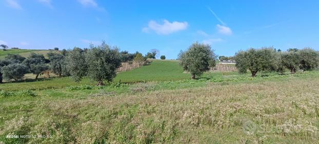 Terreno Agricolo - Macerata