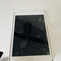 Ipad mini