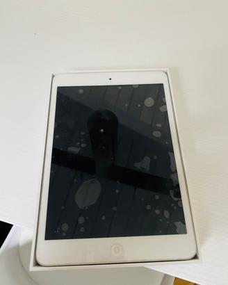 Ipad mini
