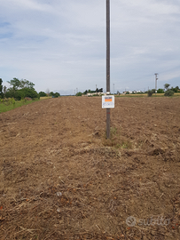 Terreno agricolo Tuturano