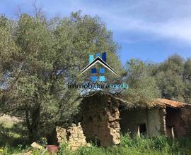 Rustico - Arzachena