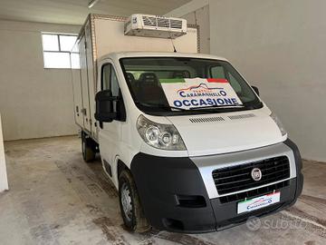FIAT DUCATO FRIGORIFERO ANNO 2010