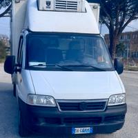 Fiat Ducato con cabina frigo