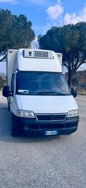 Fiat Ducato con cabina frigo