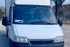 Fiat Ducato con cabina frigo