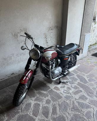 TRIUMPH DAYTONA 500