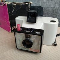 Polaroid Swinger