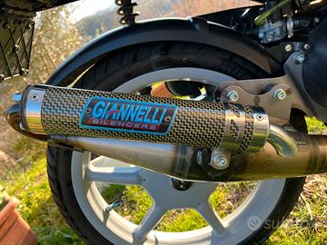 Giannelli reverse piaggio
