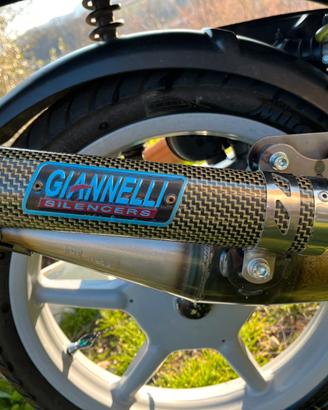 Giannelli reverse piaggio