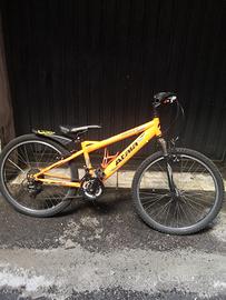 Bicicletta come nuova prezzo trattabile