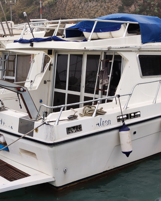 Piantoni Onda Azzurra (natante)