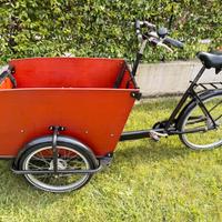 Babboe - bicicletta 3 ruote cargo olandese