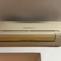 Condizionatore inverter Daikin