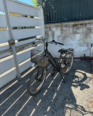 Bicicletta elettrica assistita
