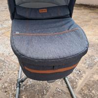 Navicella Inglesina Aptica