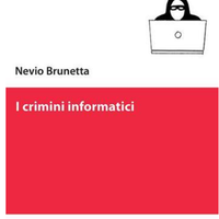 I CRIMINI INFORMATICI