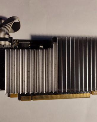 Scheda video Point of View GeForce 8400GS 512MB