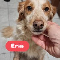 ERIN 7 anni