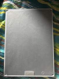 iPad a16 265gb