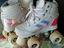 Immagine 4