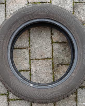 gomme invernali Yokohama 175/65R15 84T