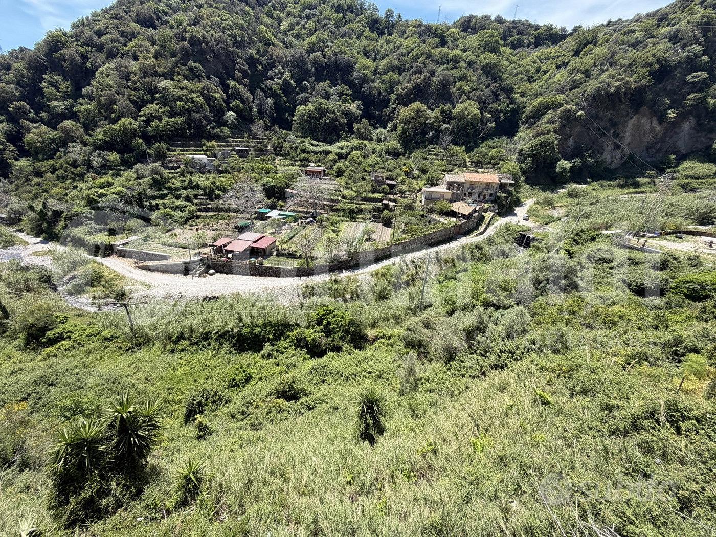 Terreno Agricolo Messina [0681-78VCG] - Vista 6