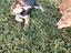 Immagine 4