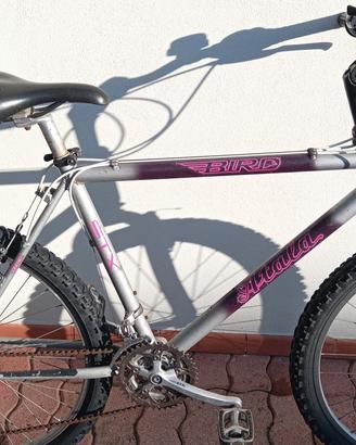 bici Montembike 