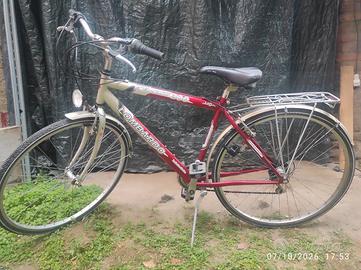 bicicletta uomo 