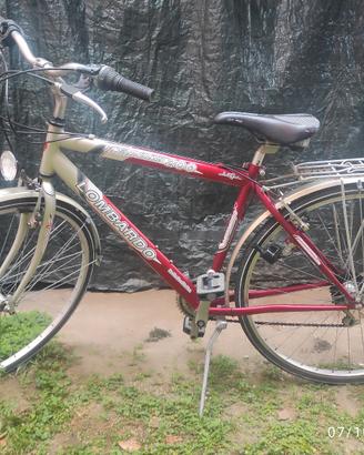 bicicletta uomo 
