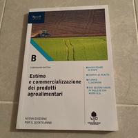 libro di estimo