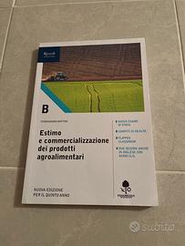 libro di estimo