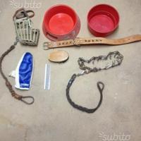 Set accessori cane grossa taglia
