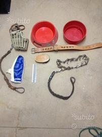Set accessori cane grossa taglia