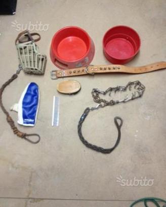 Set accessori cane grossa taglia