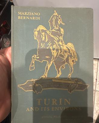 Libro: Tourin and its environs