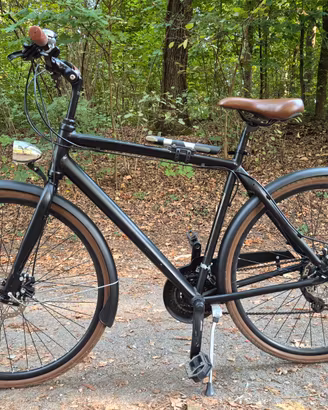 Bicicletta Alpina Comfort 28” con Shimano 21V