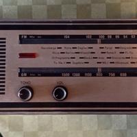 RADIO VINTAGE EUROPHON 800 USATA


funzionante 