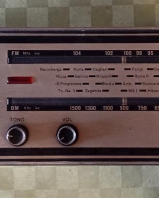 RADIO VINTAGE EUROPHON 800 USATA


funzionante 