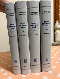 Mandrioli carratta 27ª diritto processuale civile