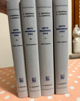 Mandrioli carratta 27ª diritto processuale civile