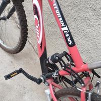 bicicletta 