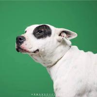 Magda, dolce e brava desidera una famiglia sua