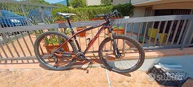 MTB Wilier 501XN 29  carbonio