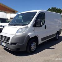 FIAT Ducato CH1 [A311]