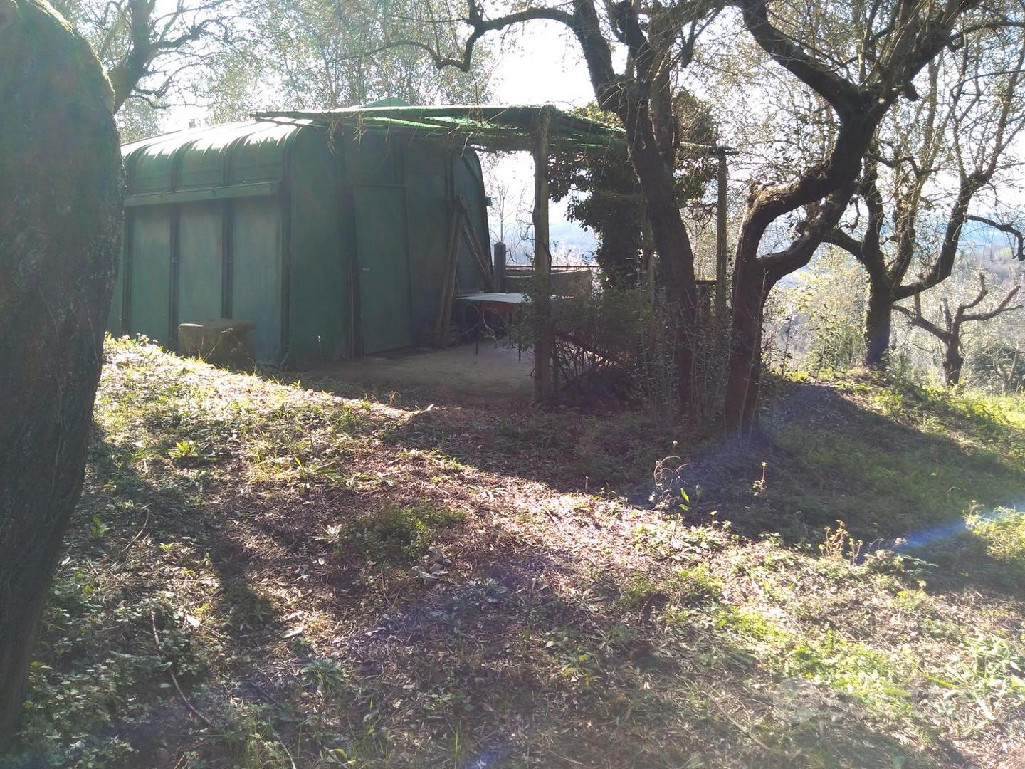 Terreno agricolo - Altro