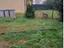 Immagine 12